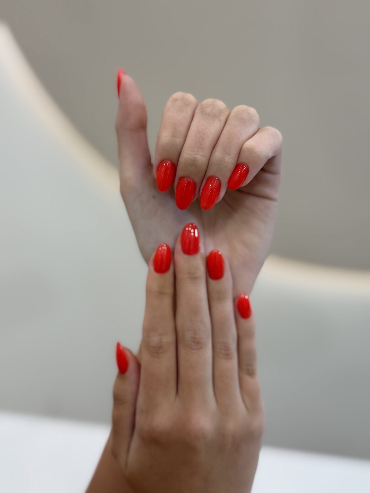 IMG 0896