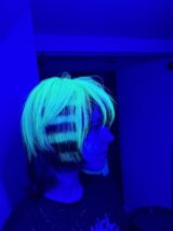 IMG 1265