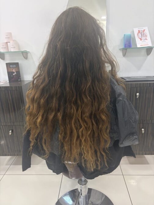 IMG 3955