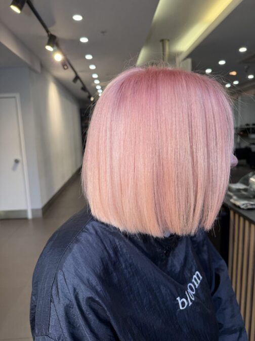 IMG 0655