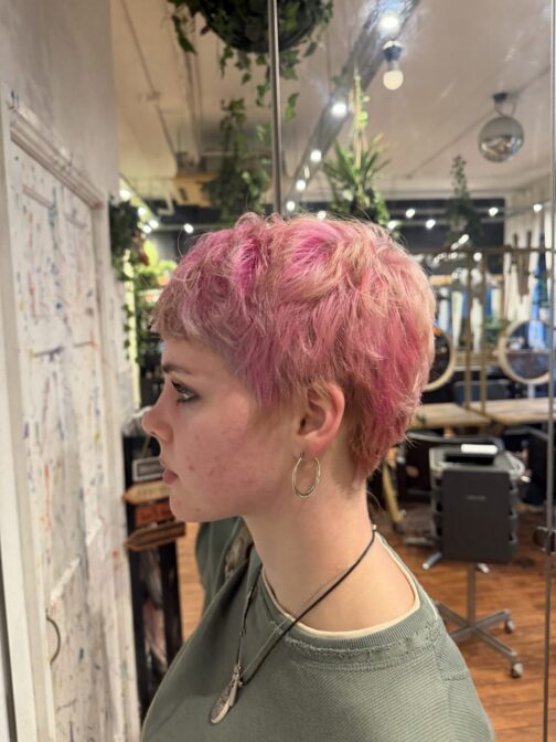 IMG 3955